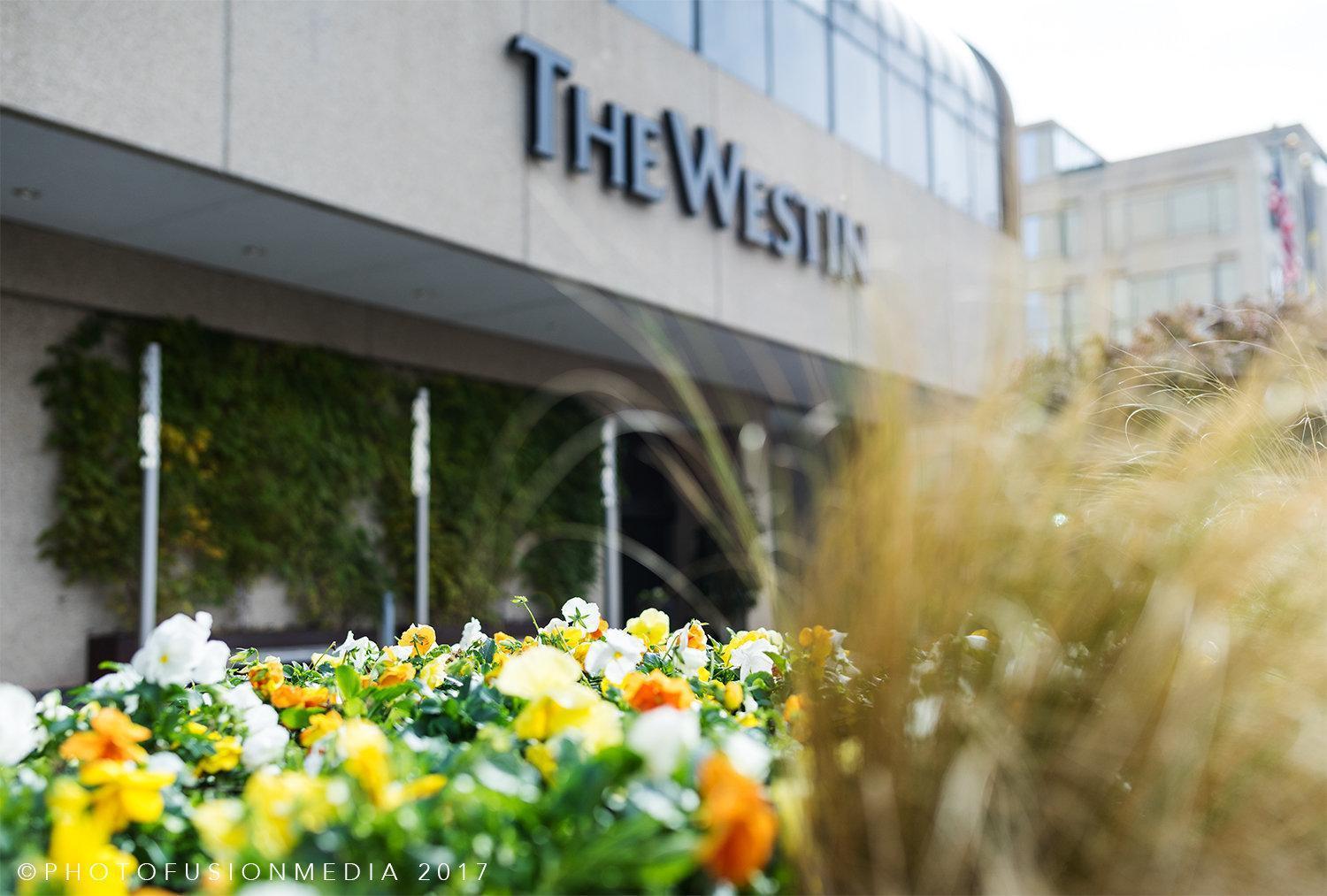 ארלינגטון The Westin Crystal City Reagan National Airport מראה חיצוני תמונה